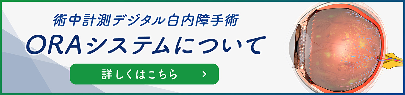 oraシステムについて